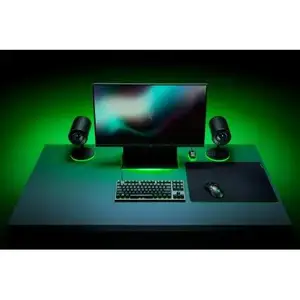Килимок для миші Razer Gigantus V2 L Speed/Control (RZ02-03330300-R3M1) Килимок для миші Razer Gigantus V2 L Speed/Control (RZ02-03330300-R3M1)